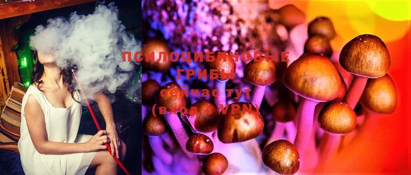 прущие грибы Нязепетровск